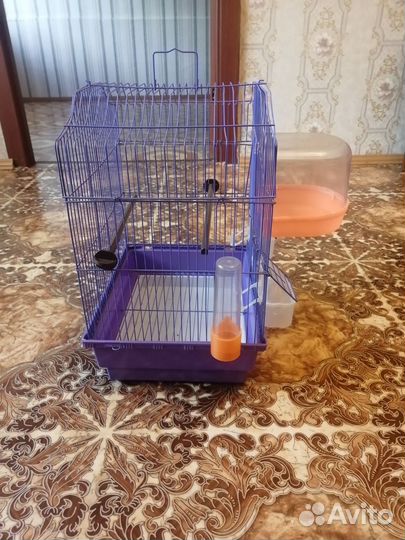 Клетка