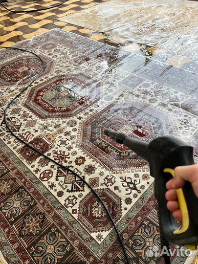 Аренда моющего karcher