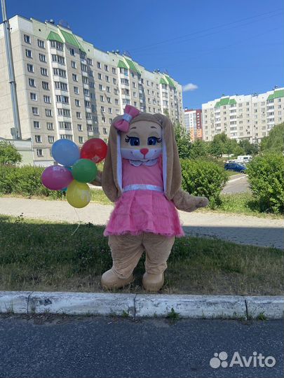 Ростовая кукла мишка и зайка печенька на праздник