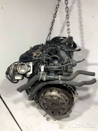Двигатель в сборе qqdb Ford Focus 2