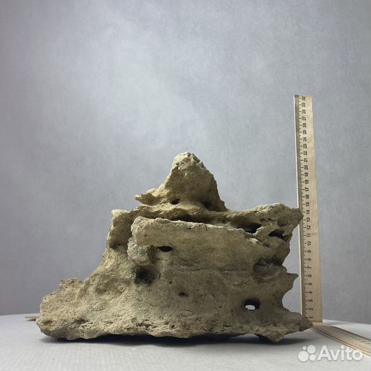 Декор для аквариума 250х120х160