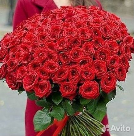 Высокие розы Гигантские Розы 150 160 170 180 190см
