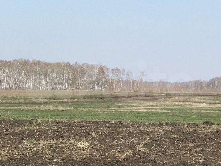 Участок 8 сот. (ИЖС)