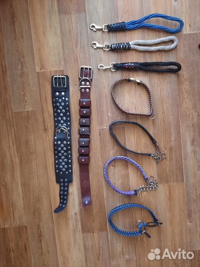 Амуниция для собак