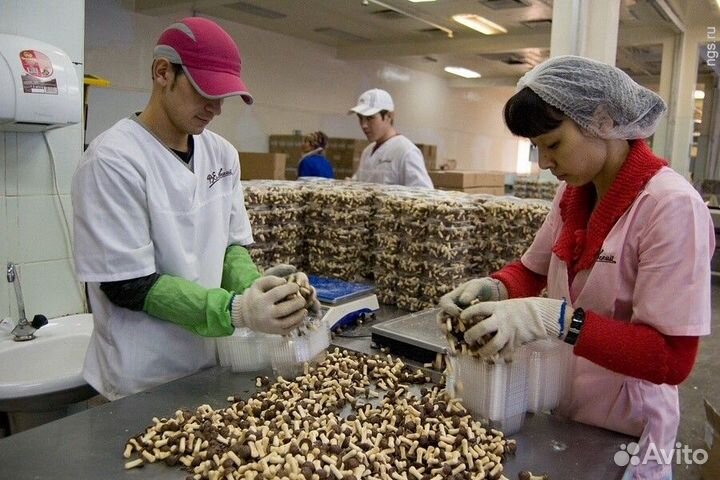 Вахта Москва разнорабочий на кондитерку