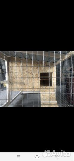 Клетка для кур