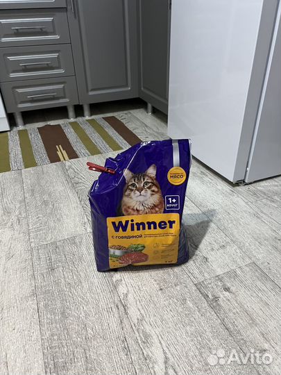 Сухой корм для кошек 3 кг