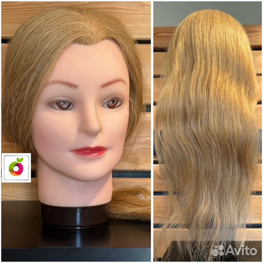 Голова - манекен учебная Dewal