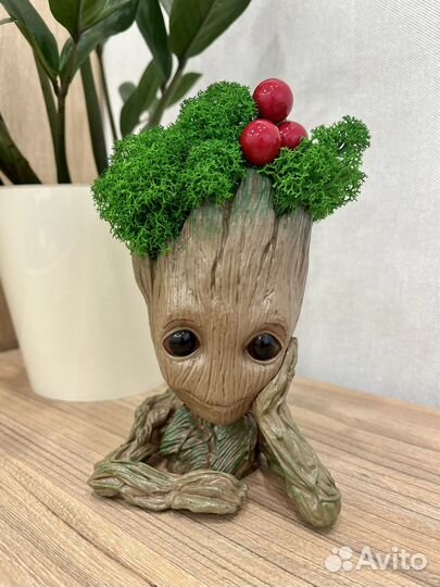 Кашпо со стабилизированным мхом Грут