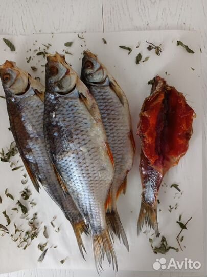 Сорожка сорога рыба