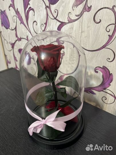 Роза в колбе