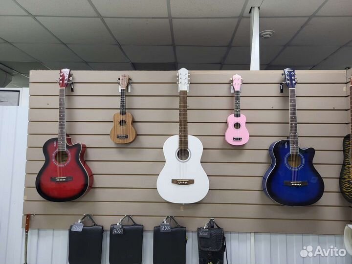 Гитара Элетаро и Амистар