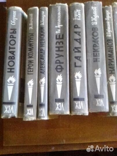 Книги серии жзл