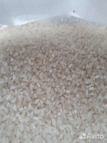 Рис Краснодарский