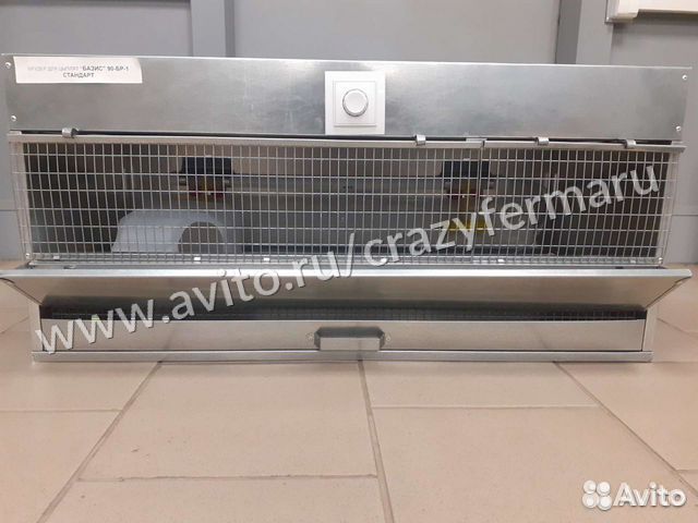 Брудер для цыплят