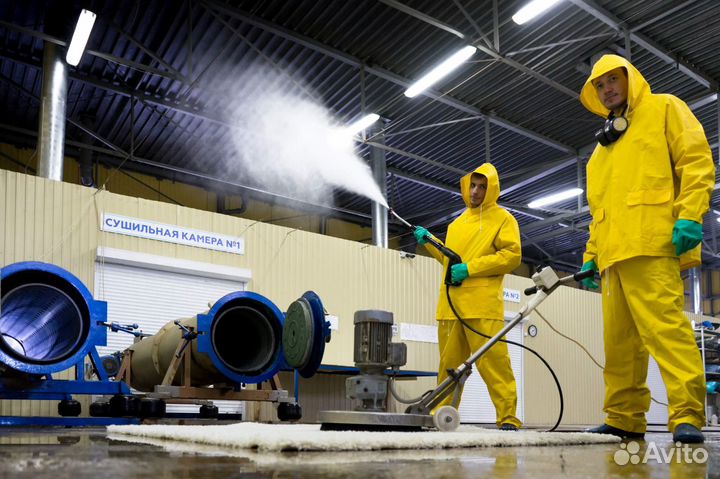 Чистка ковра