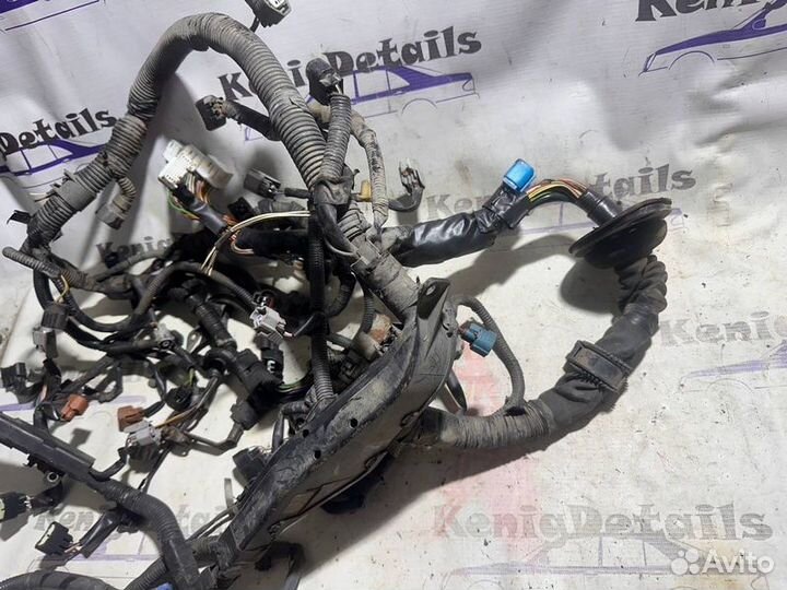 Моторная коса, проводка двигателя Lexus Rx 300