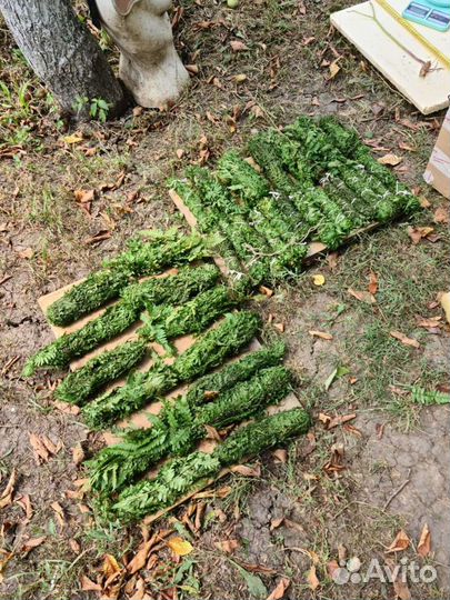 Травы, Крым