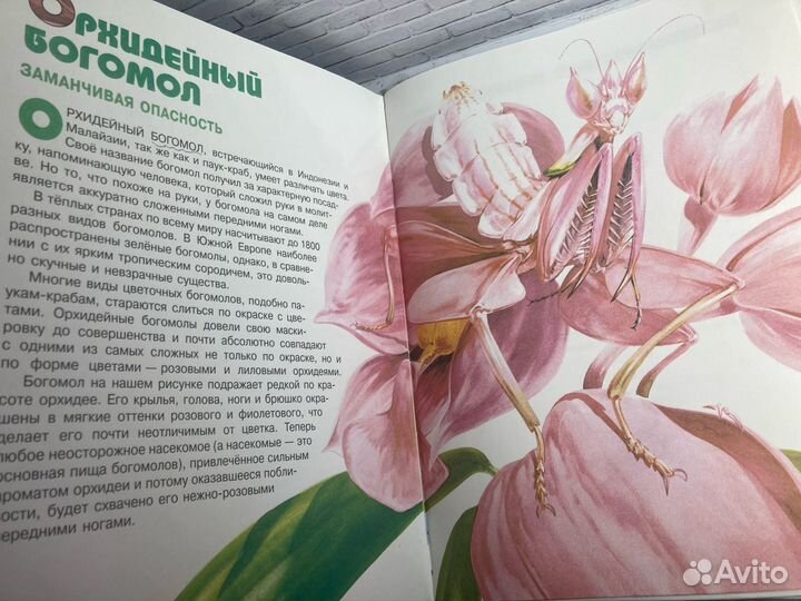 Книга «Тайны живого мира»