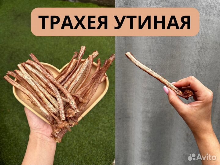 Лакомства для собак и кошек