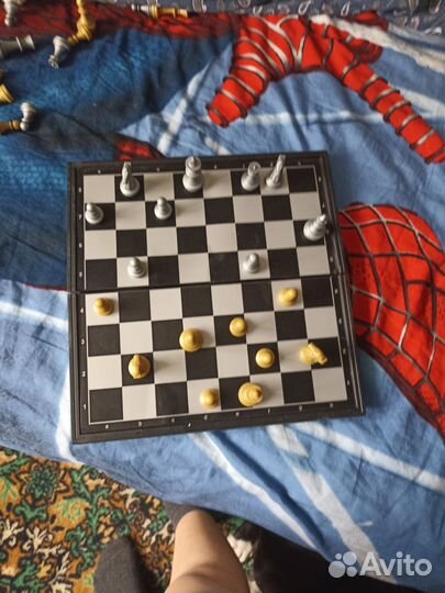 Шахматы магнитные