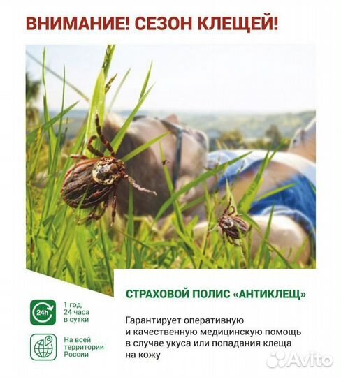 Страхование