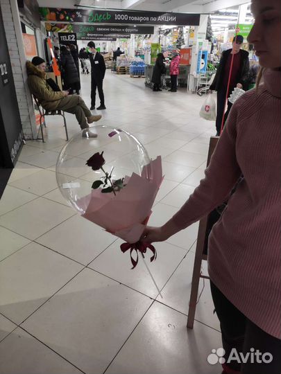 Живая роза в шаре баблз