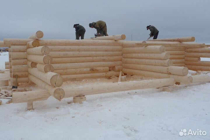 Сруб дома, бани из рубленного бревна