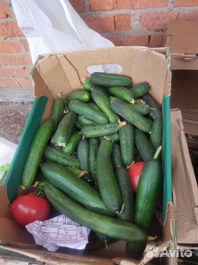 Овощи,фрукты,зелень, на корм животным