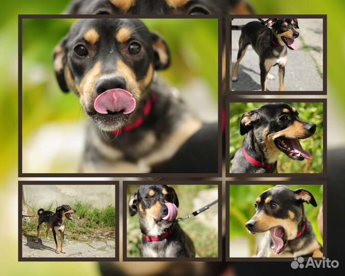 Уникальная девочка ищет дом