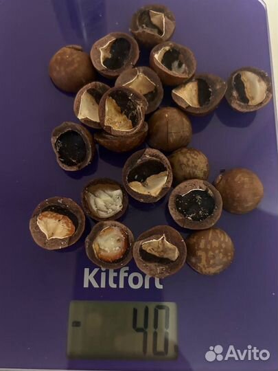 Скорлупа ореха макадамия 40 г