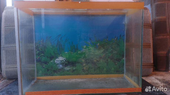 Аквариум 135 литров
