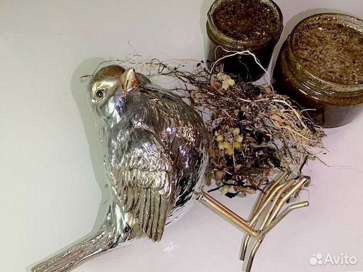 Биостимулятор для потенции