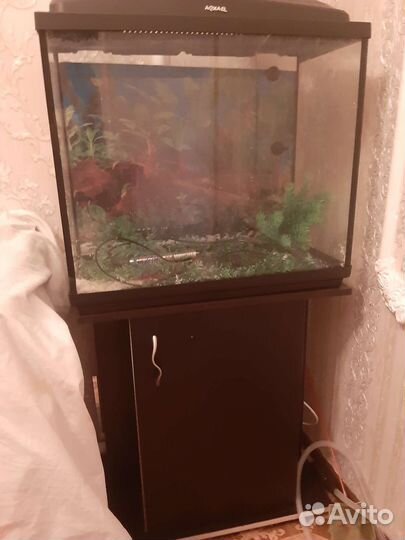 Продам фирменный аквариум цена договорная