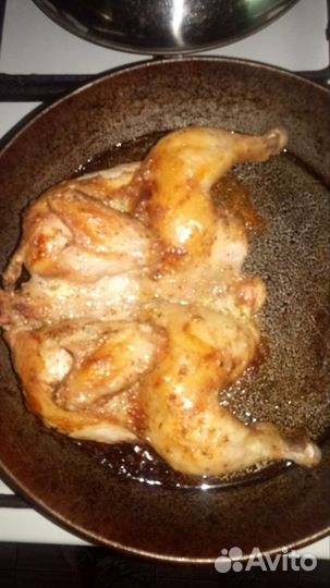 Цыплята и куры бройлер