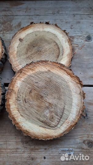 Спилы из дерева