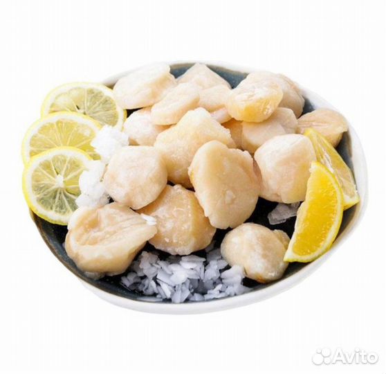 Устрицы и гребешки