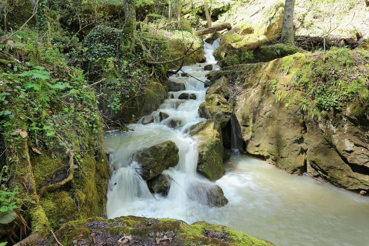 Участок 27 сот. (ИЖС)