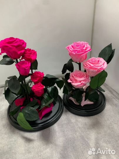 Цветы оптом