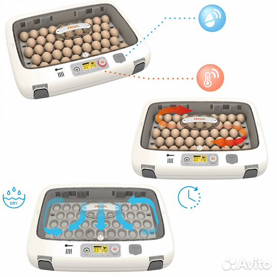 Инкубатор Rcom 50 DO PRO с овоскопом