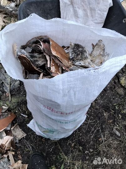 Береста в мешках