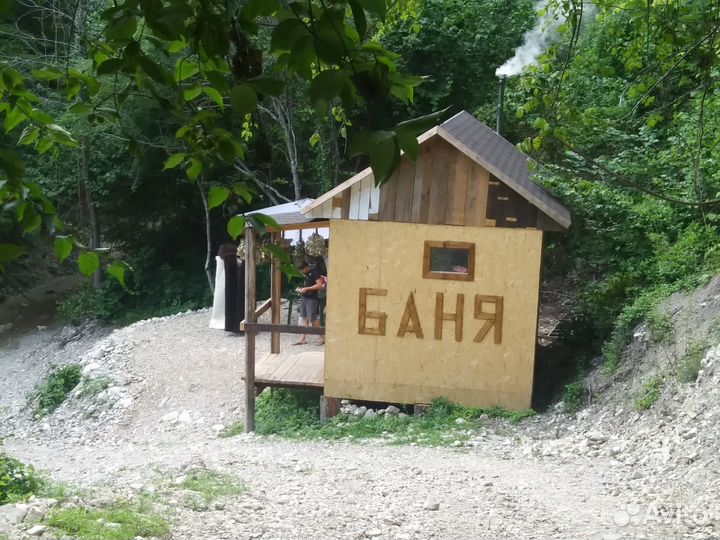 Лесные прогулки