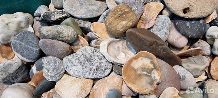 Морские камни Крыма ручного сбора для вашего аквар