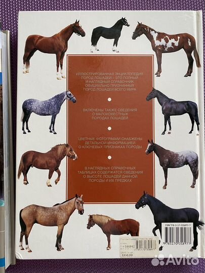 Породы лошадей