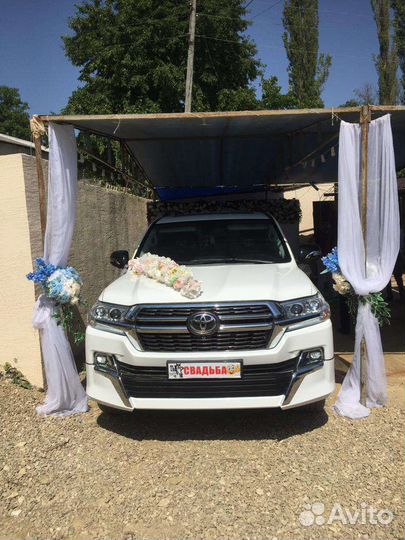 Прокат авто