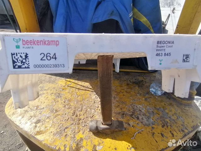 Ячейки для рассады 264 штуки