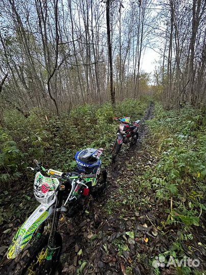 Прокат питбайков