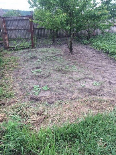 Дом 90 м² на участке 5 сот.