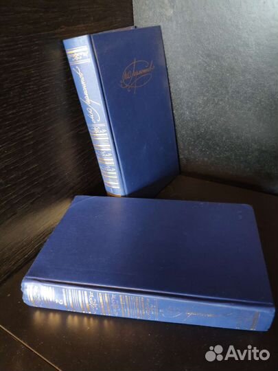 М.Ю. Лермонтов. Двухтомник