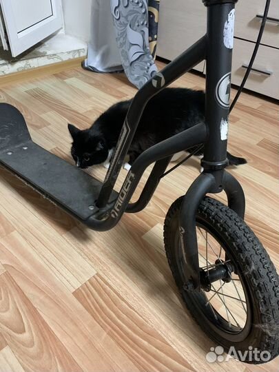 Самокат взрослый